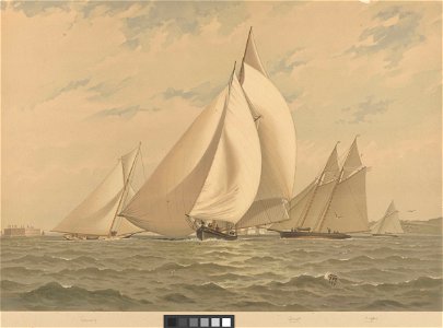 American Yachts Plate XVIII. Crossing the Line - New York Bay. Coming, Montauk, Comet, Kelpie RMG PY8794
