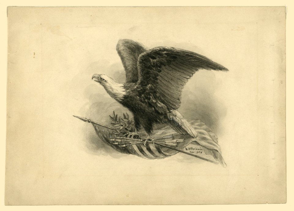 American eagle LCCN2004661408
