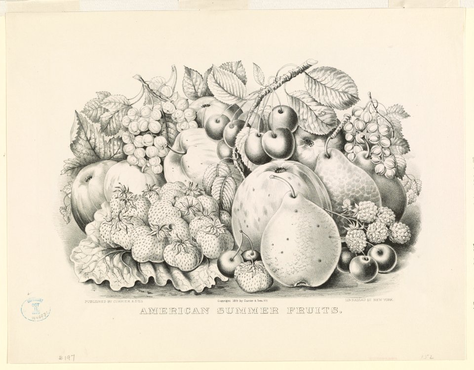 American summer fruits LCCN2004669148