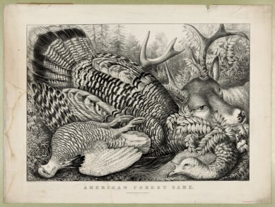 American forest game LCCN90708512