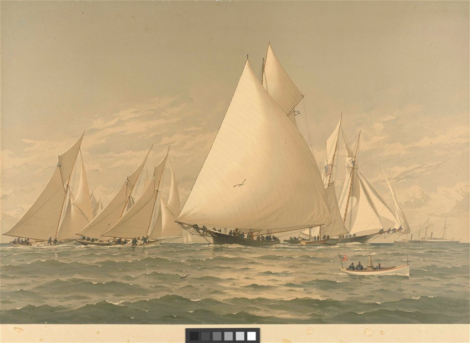 American Yachts Plate XXII. Syren, Beetle, Countess, Halcyon, Phantom, Adelita and Sappho. In Down East Waters - Boston Bay RMG PY8773