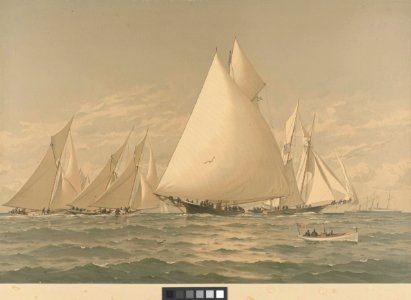 American Yachts Plate XXII. Syren, Beetle, Countess, Halcyon, Phantom, Adelita and Sappho. In Down East Waters - Boston Bay RMG PY8773
