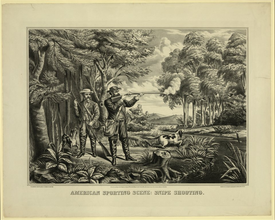 American sporting scene - snipe shooting LCCN2006677473