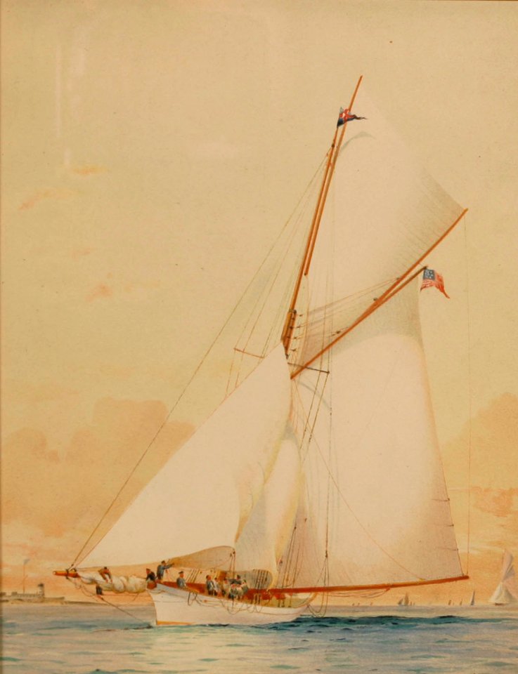 Americas Cup Defender Volunteer, by Barlow Moore 5142