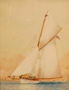 Americas Cup Defender Volunteer, by Barlow Moore 5142