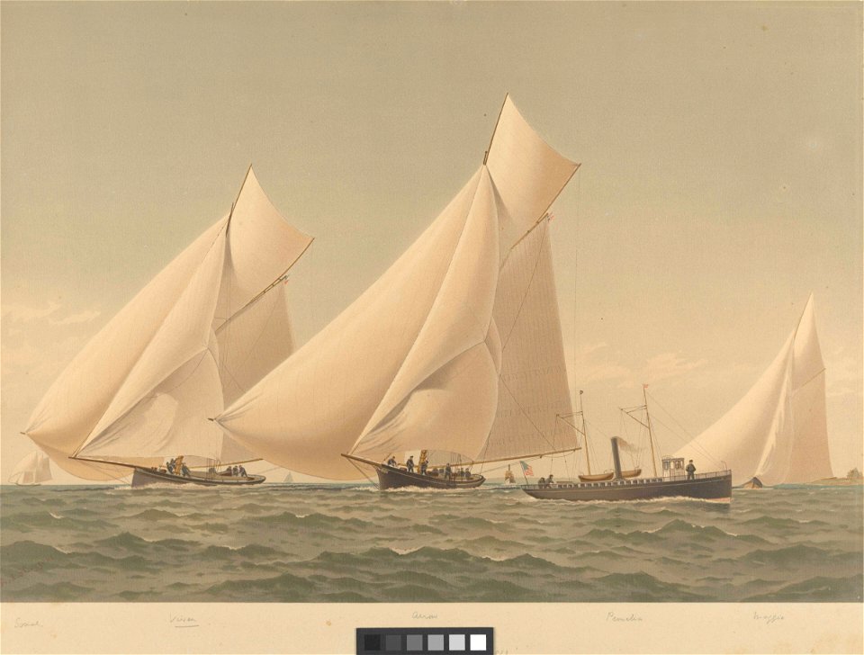 American Yachts Plate XXIII - Social, Vixen, Arrow, Pernalia S.Y. and Maggie. Before the Wind - Newport 1883 RMG PY8780