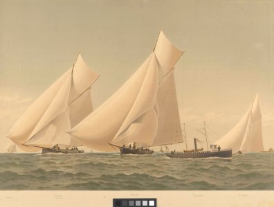 American Yachts Plate XXIII - Social, Vixen, Arrow, Pernalia S.Y. and Maggie. Before the Wind - Newport 1883 RMG PY8780