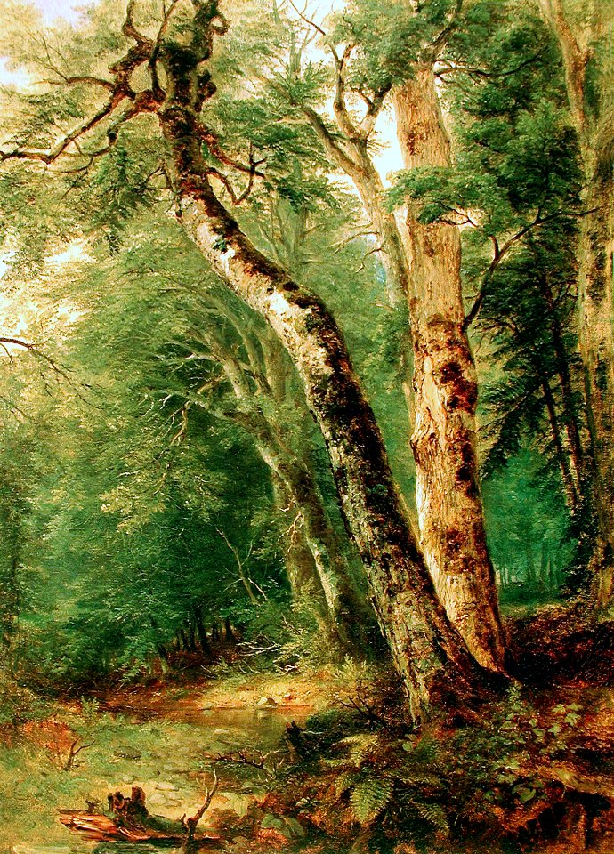Amerscenery durand