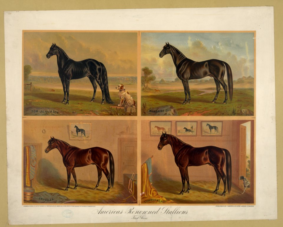 Americas renowned stallions LCCN2003671753
