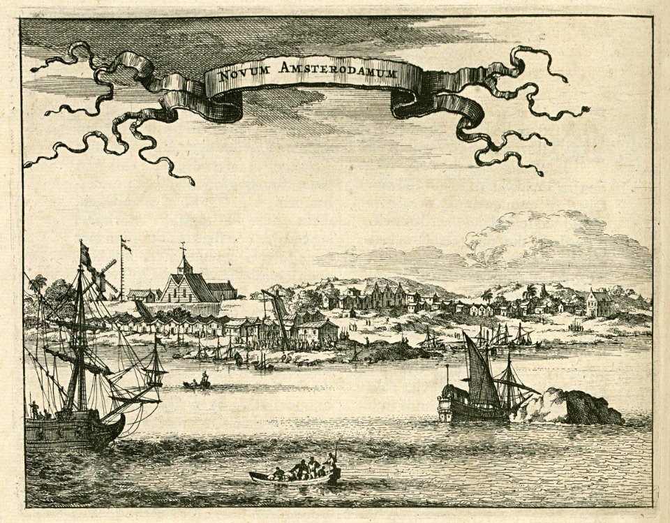 AMH-6831-KB View of New Amsterdam