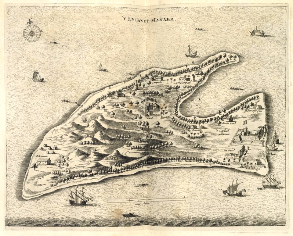 AMH-6971-KB Bird's eye view of the island of Manaar