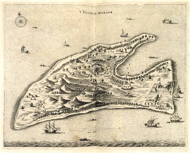 AMH-6971-KB Bird's eye view of the island of Manaar