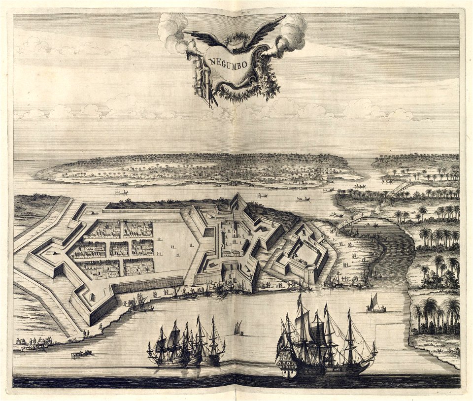AMH-6970-KB Bird's eye view of Negumbo