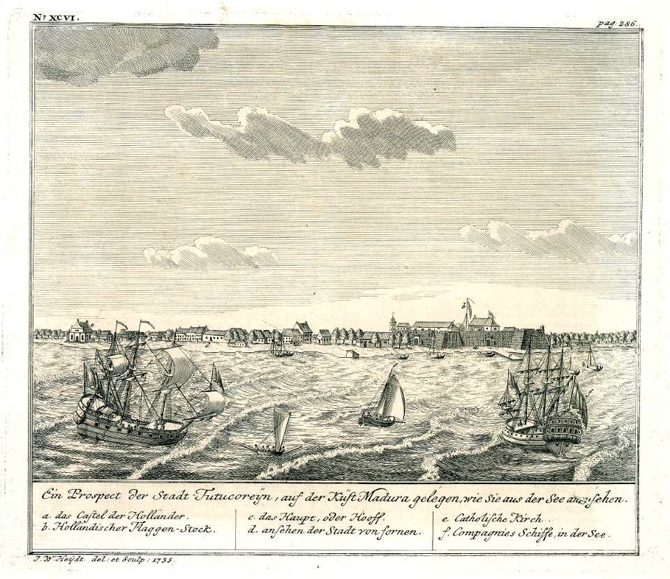 AMH-7103-KB View of Tutecorijn