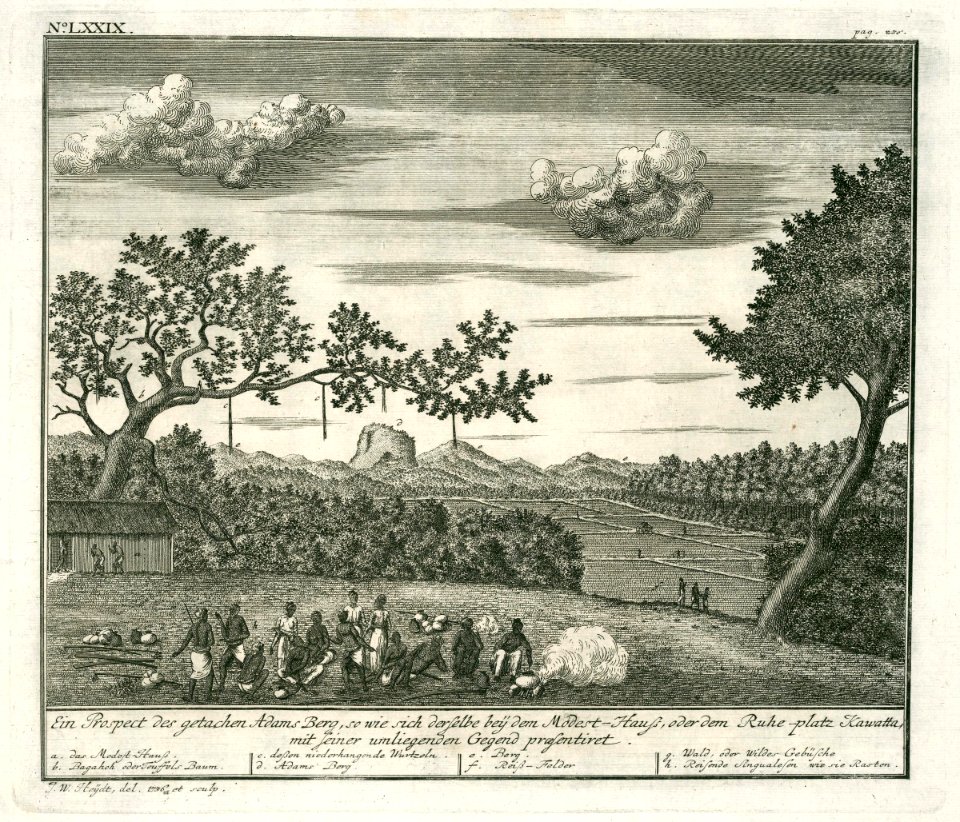 AMH-7086-KB View of the Adamsberg mountain