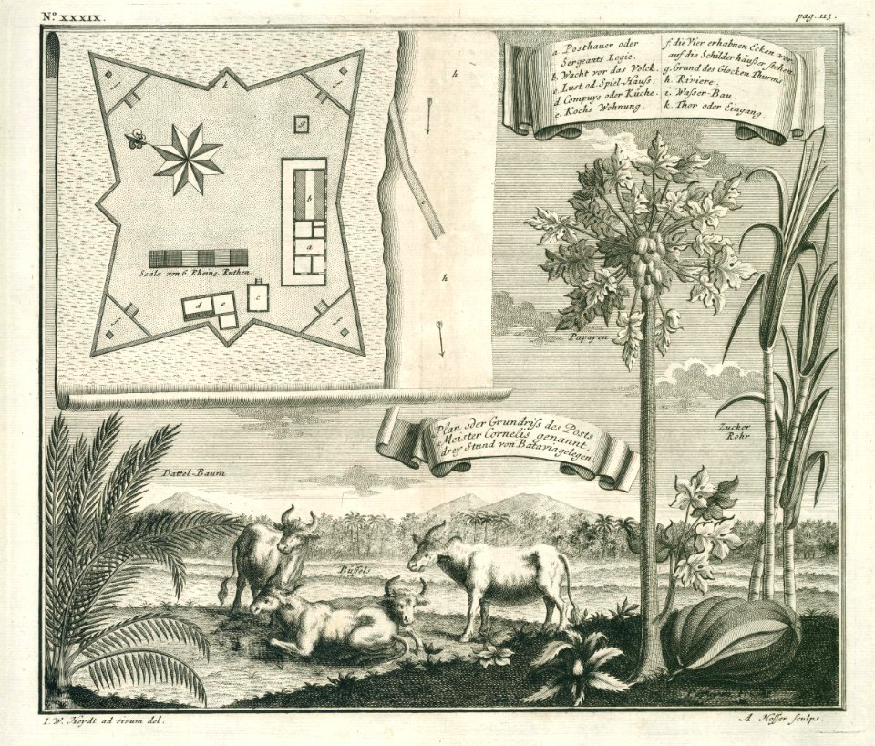 AMH-7049-KB Map of the Meester Cornelis trading post