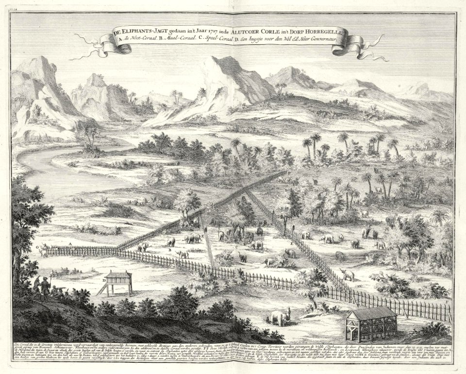 AMH-7266-KB Elephant hunt on Ceylon