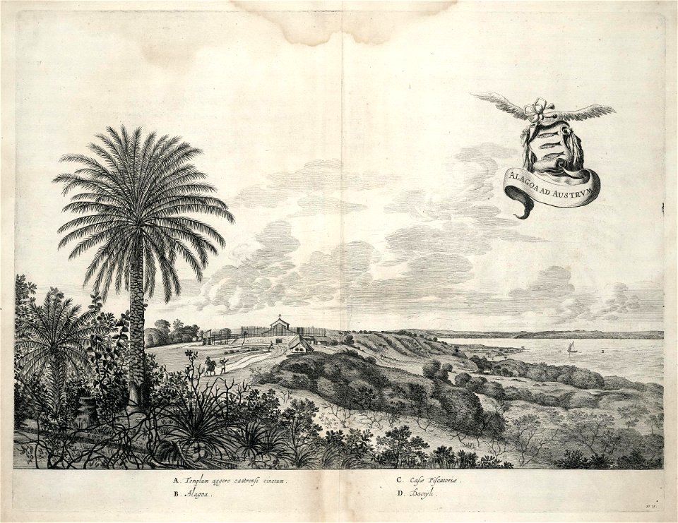AMH-7289-KB View of Alagoa del Sul