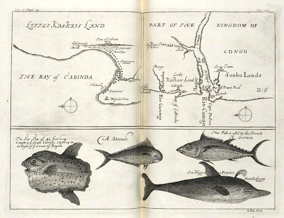 AMH-8151-KB Map of the mouth of the Congo