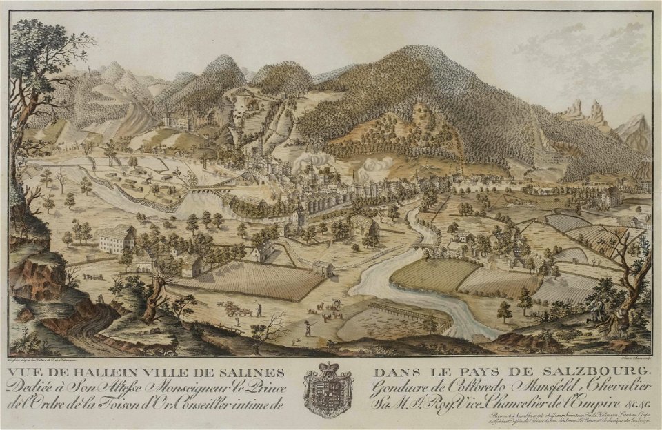 Amon nach Naumann Ansicht von Hallein