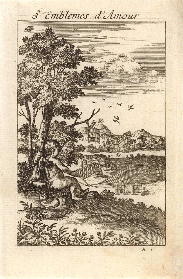 Amor bij een vogelval