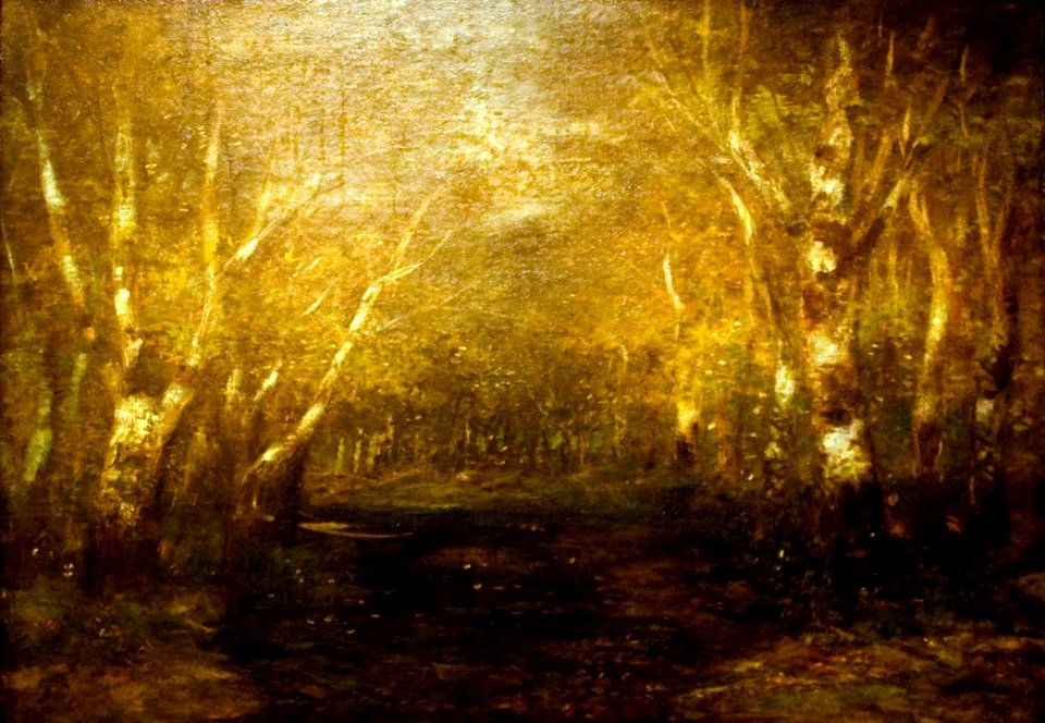 Among Birches