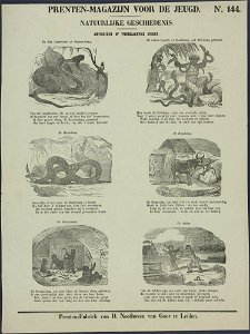 Amphibieen of tweeslachtige dieren-Catchpenny print-Borms 0439