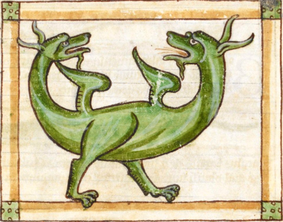 Amphisbene 3244