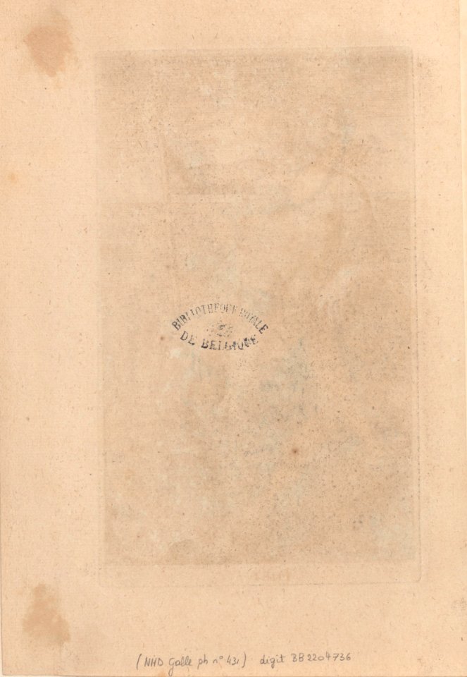 Amphitrite Fait partie du recueil Nimpharum oceanitidum, ephydridum potamidum, naiadum, lynadumque icones - Pl. 1 1587 print by Philip Galle, S.V 88389, Prints Department, Royal Library of Belgium (verso)