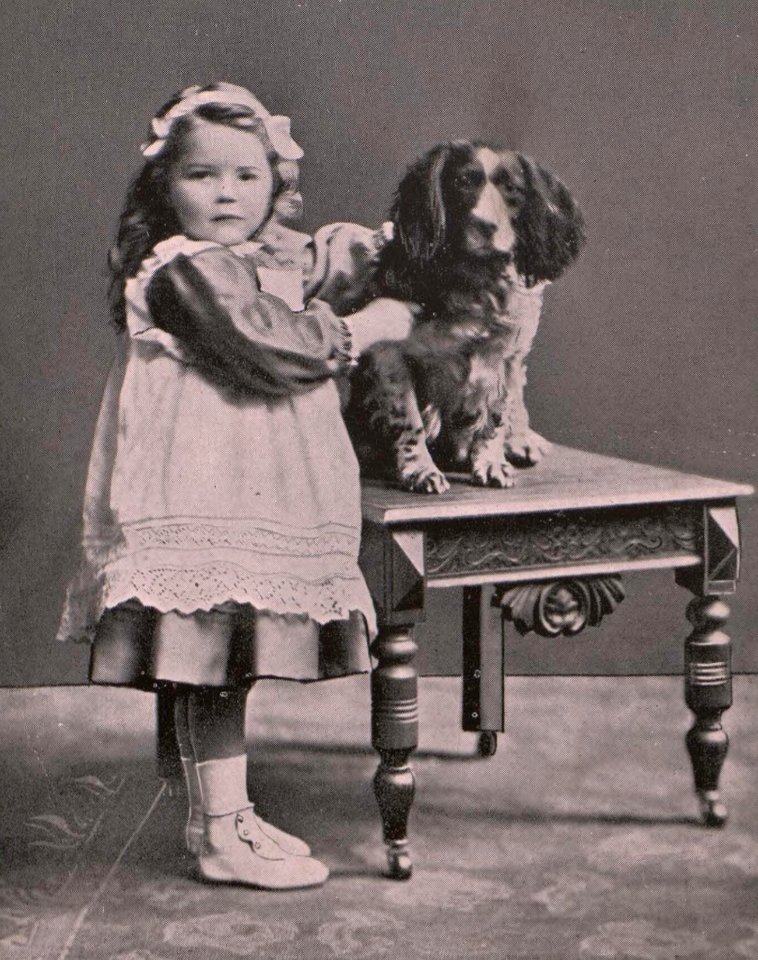 Amy Noel Morfydd Ballinger (5449693)