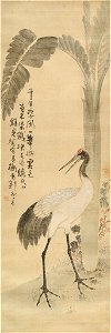 An Chung-sik (also known as Sim-chŏn) - Manchurian Crane Standing beside a Banana Palm - 2003.90 - Arthur M. Sackler Museum