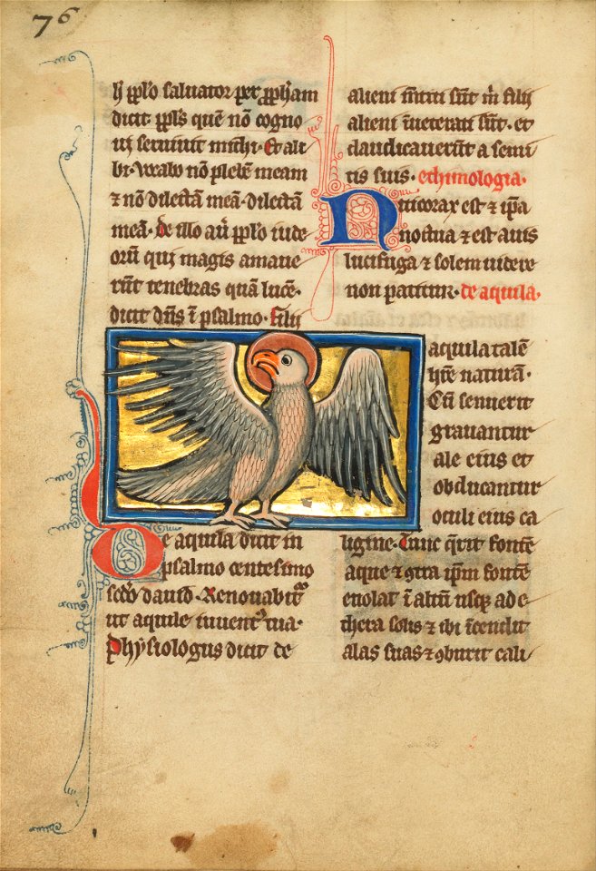 An Eagle - Google Art Project