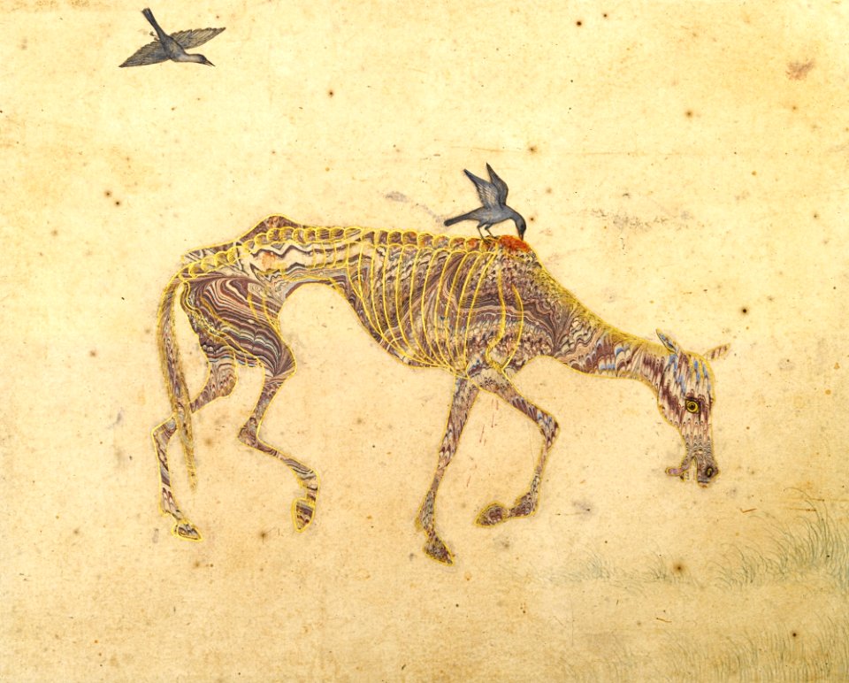 AN EMACIATED HORSE HARASSED BY BIRDS, MARBLED PAPER DRAWING INDIA, DECCAN, BIJAPUR, MID-17TH CENTURY Sotheby's