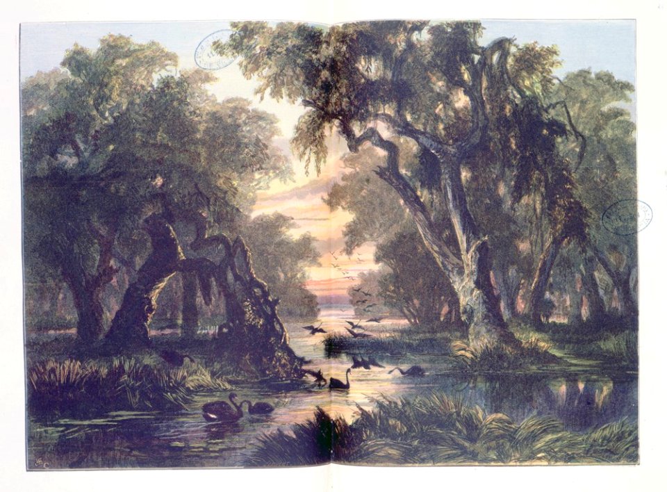 An Australian lake scene, sunset 1881