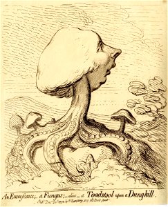 An excrescence;-a fungus;-alias-a toad-stool upon a dung-hill. (BM 1851,0901.568)