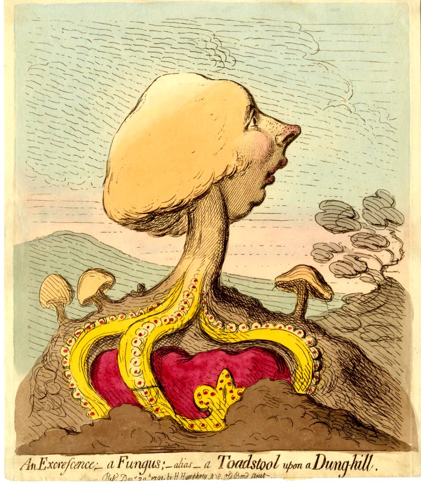 An excrescence;-a fungus;-alias-a toad-stool upon a dung-hill. (BM 1868,0808.6142)