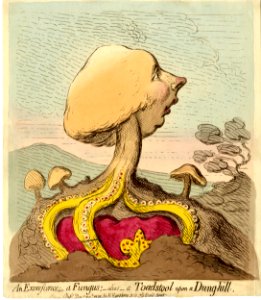 An excrescence;-a fungus;-alias-a toad-stool upon a dung-hill. (BM 1868,0808.6142)