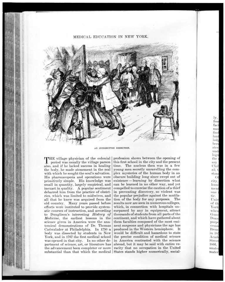 An Interrupted dissection - W.A. Rogers. LCCN91480813