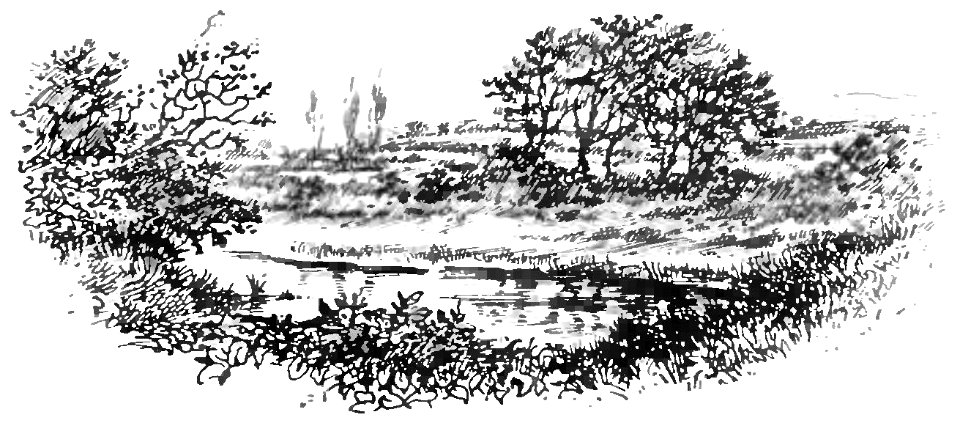 An Old English Home and Its Dependencies; Paternal Acres, end ornament