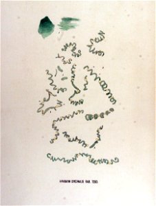 Anabaina circinalis — Flora Batava — Volume v17