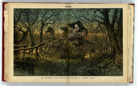 An unpleasant ride through the presidential haunted forest - J. Keppler. LCCN2012645205