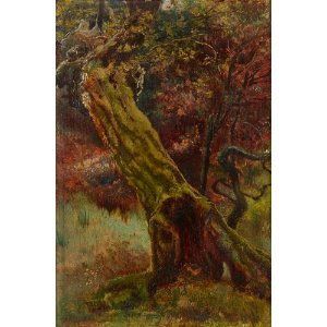 An Old Stump in Epping Forest