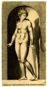 AN00056457 001 l ariadne in niche Caraglio