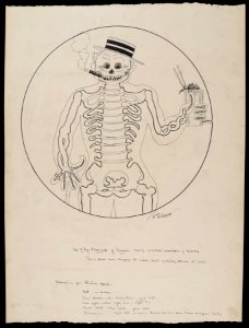 An x-ray photograph of Summer, showing remarkable preservation of backbone, from a photo taken... (NBY 1400)