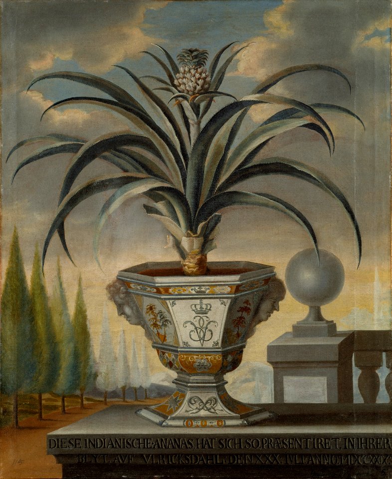 Ananasväxt (David von Cöln) - Nationalmuseum - 15143