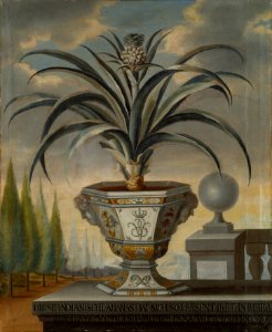 Ananasväxt (David von Cöln) - Nationalmuseum - 15143