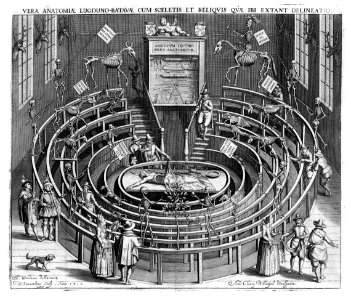 Anatomical theatre Leiden. Free illustration for personal and commercial use.