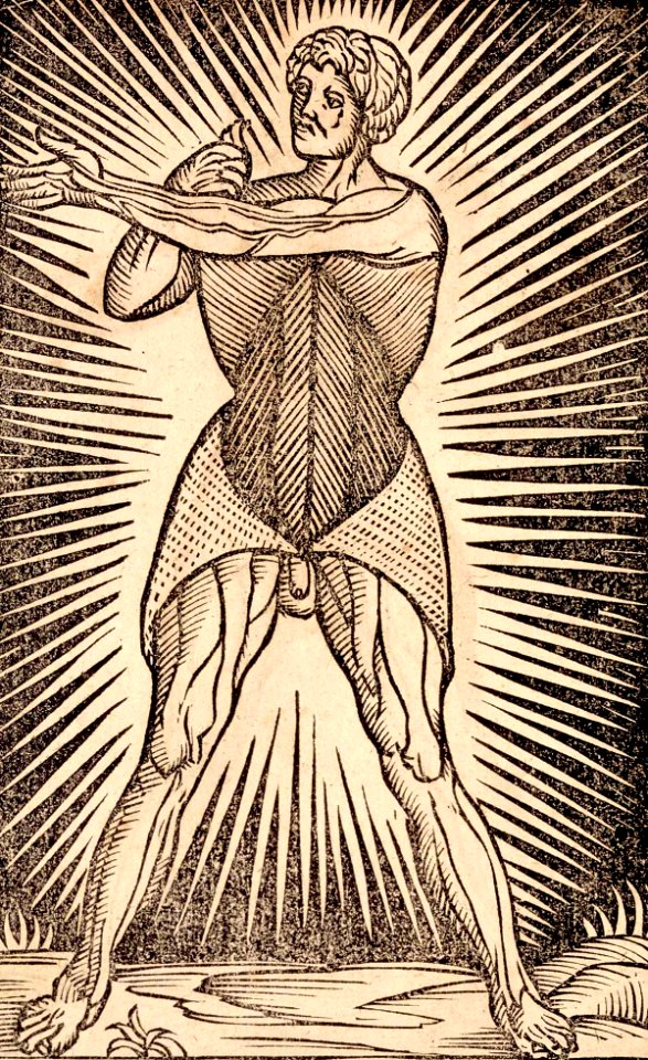 Anatomia Carpi 1535 a