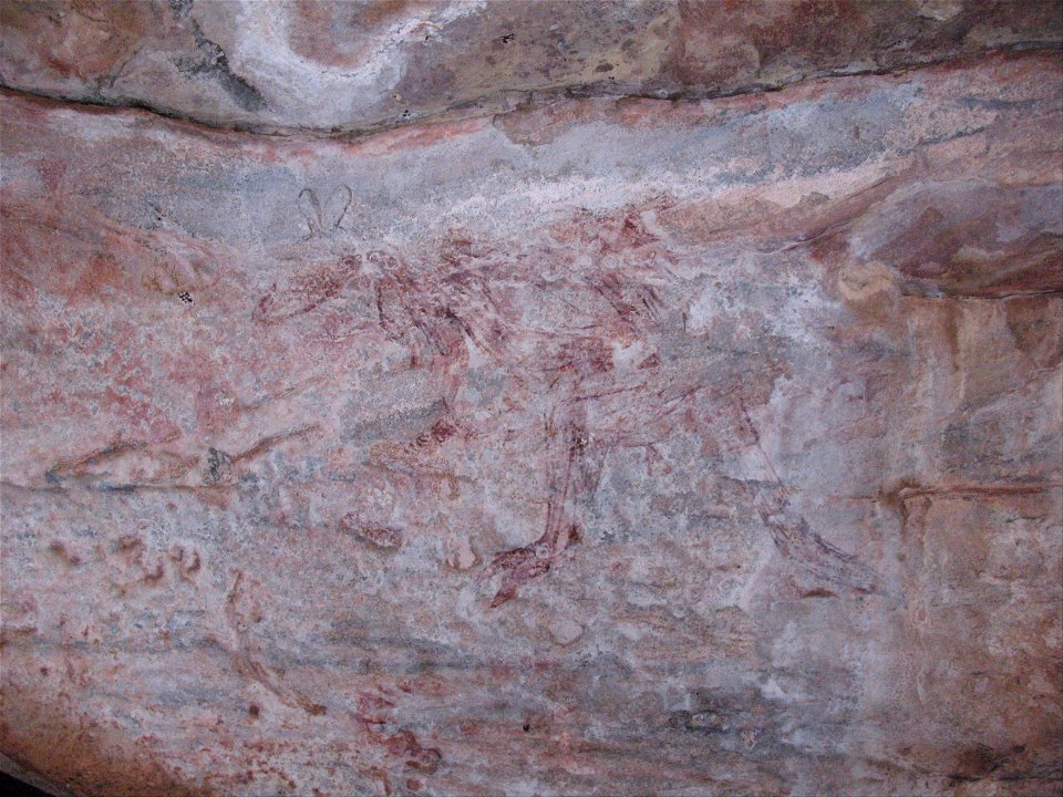 Ancient purple-red kangaroo - Google Art Project