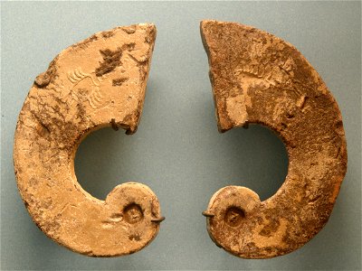 Ancient Greek jumping weights Nationalmuseet